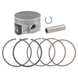 NAMURA ATV/UTV TOP END REPAIR KIT (NA - 10025 - 2K) - DRIVEN Canada's Powersports 758891106492NA - 10025 - 2K
