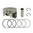 NAMURA PISTON KIT (NA - 10012 - 2) - DRIVEN Canada's Powersports 758891084431NA - 10012 - 2