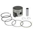 NAMURA PISTON KIT (NA - 10090 - 2) - DRIVEN Canada's Powersports 758891084837NA - 10090 - 2