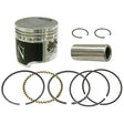 NAMURA PISTON KIT (NX - 10051 - 6) - DRIVEN Canada's Powersports 758891088262NX - 10051 - 6