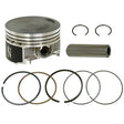 NAMURA PISTON (NA - 50013) - DRIVEN Canada's Powersports 758891086855NA - 50013