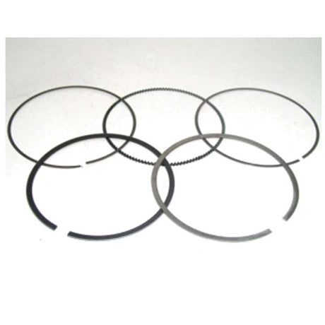 NAMURA PISTON RING (NA - 10009R) - DRIVEN Canada's Powersports 758891102180NA - 10009R