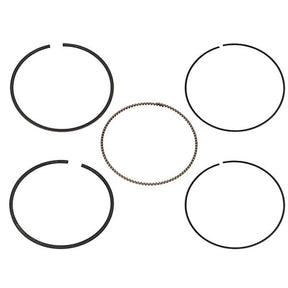 NAMURA PISTON RING (NA - 10095 - 2R) - DRIVEN Canada's Powersports NA - 10095 - 2R