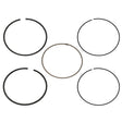 NAMURA PISTON RING (NA - 10095 - 4R) - DRIVEN Canada's Powersports NA - 10095 - 4R