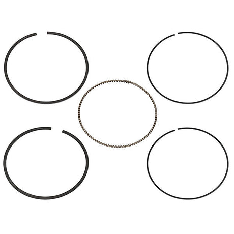 NAMURA PISTON RING (NA - 10095R) - DRIVEN Canada's Powersports NA - 10095R