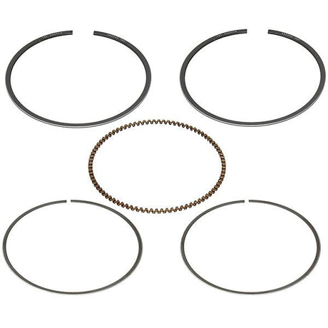 NAMURA PISTON RING (NA - 80004 - 2R) - DRIVEN Canada's Powersports 758891104481NA - 80004 - 2R