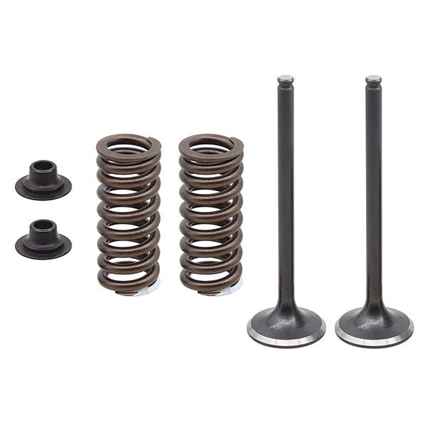 NAMURA PSYCHIC EXHAUST VALVE (XU - 09566EK) - DRIVEN Canada's Powersports XU - 09566EK