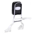 National Cycle Paladin Quickset Mount Kit - DRIVEN Canada's Powersports 039489008153P9BR006