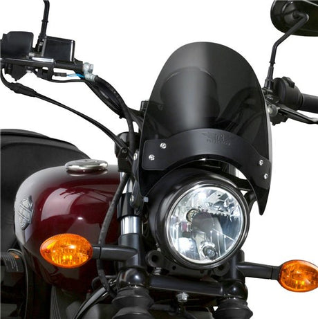 NATIONAL CYCLE WINDSHIELD FLYSCREEN DSMK (N2531 - 002) - Driven Powersports Inc.039489005367N2531 - 002