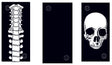 OXFORD PRODUCTS NECK & HEAD TUBE COMFY SKELETON OXFORD (NW105) - Driven Powersports Inc.5030009230059NW105