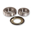 PIVOT WORKS STEERING STEM BEARING KIT (PWSSK - H11 - 000) - DRIVEN Canada's Powersports PWSSK - H11 - 000PWSSK - H11 - 000