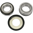 PIVOT WORKS STEERING - STEM - BEARING - KIT - PWSSKY05421 - Driven Powersports Inc.PWSSK - Y05 - 421