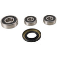 PIVOT WORKS STREET MOTORCYCLE WHEEL BEARING KIT SUZUKI (PWRWS - S10 - 000) - DRIVEN Canada's Powersports 714205979510PWRWS - S10 - 000