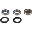 PIVOT WORKS WHEEL BEARING KIT (PWRWK - SH1 - 000) - DRIVEN Canada's Powersports PWRWK - SH1 - 000