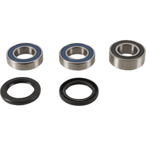 PIVOT WORKS WHEEL BEARING KIT (PWRWK - SH1 - 000) - DRIVEN Canada's Powersports PWRWK - SH1 - 000