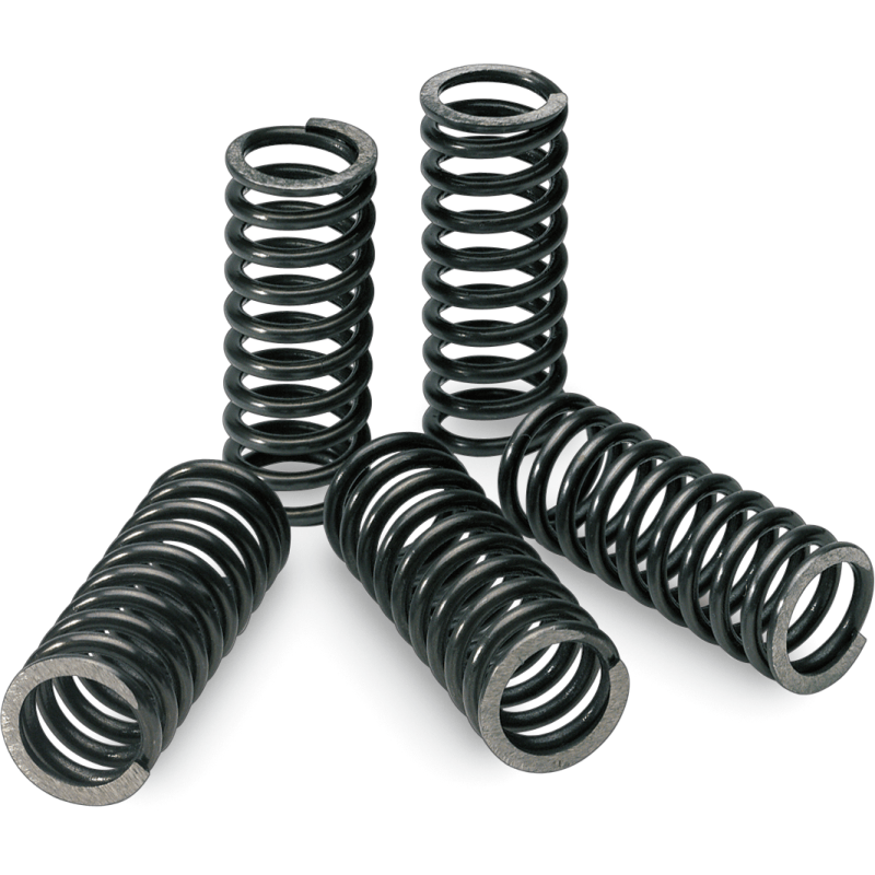 PRO CIRCUIT 04 - 20 KX250F/04 - 06 RMZ250 CLUTCH SPRINGS - Driven Powersports Inc.CSK10250 - CS