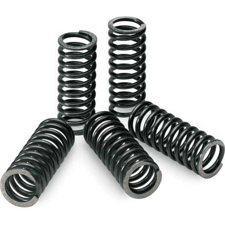 PRO CIRCUIT 04 - 20 KX250F/04 - 06 RMZ250 CLUTCH SPRINGS - Driven Powersports Inc.CSK10250 - CS