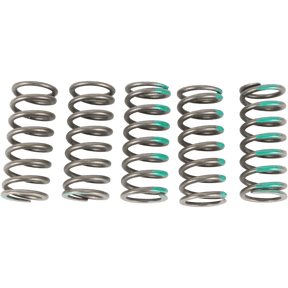 PRO CIRCUIT 06 - 20 KX450F/2008 KLX450R CLUTCH SPRING - Driven Powersports Inc.CSK19450 - CS