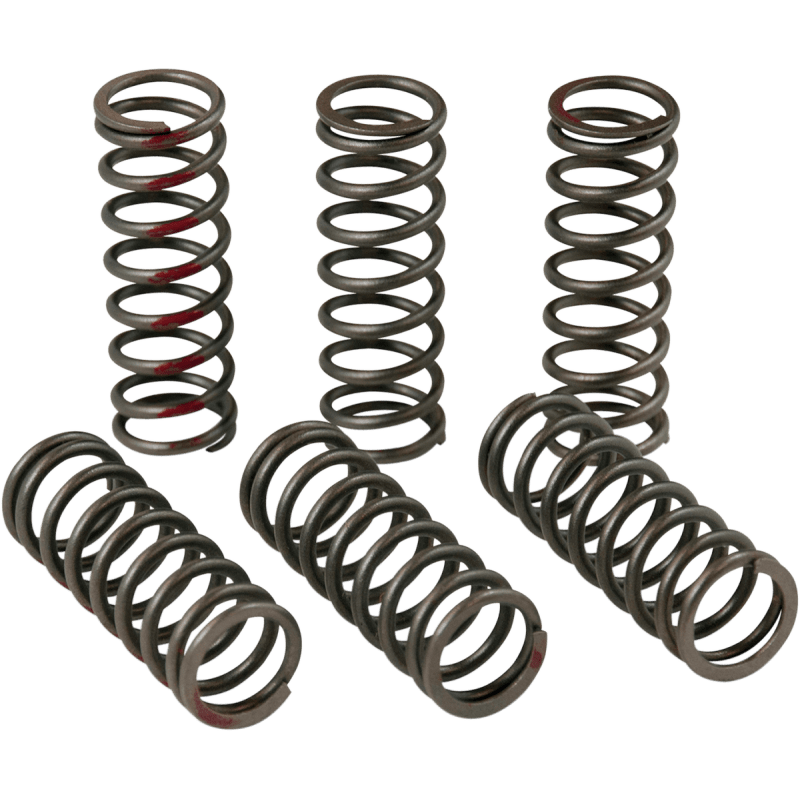PRO CIRCUIT 13 - 17 CRF450R CLUTCH SPRING KIT - Driven Powersports Inc.CSH13450 - CS