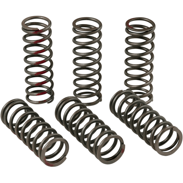 PRO CIRCUIT 13 - 17 CRF450R CLUTCH SPRING KIT - Driven Powersports Inc.CSH13450 - CS