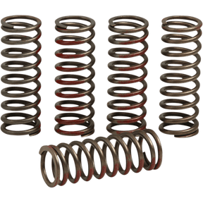 PRO CIRCUIT 2020 CRF250R/RX CLUTCH SPRINGS - Driven Powersports Inc.CSH20250 - CS