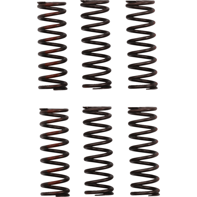 PRO CIRCUIT CLUTCH SPRING CRF450R - Driven Powersports Inc.CSH21450 - CS