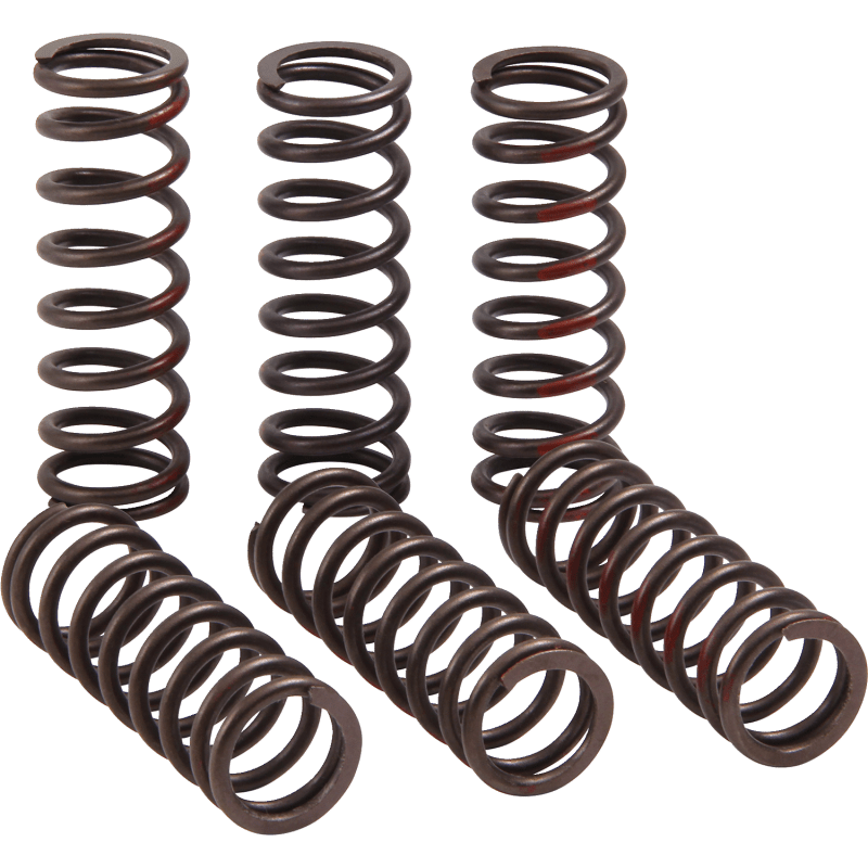 PRO CIRCUIT CLUTCH SPRING CRF450R - Driven Powersports Inc.CSH21450 - CS
