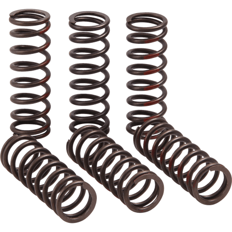 PRO CIRCUIT CLUTCH SPRING CRF450R - Driven Powersports Inc.CSH21450 - CS