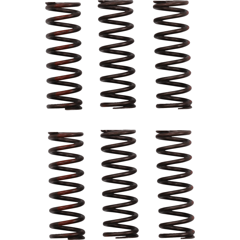 PRO CIRCUIT CLUTCH SPRING CRF450R - Driven Powersports Inc.CSH21450 - CS