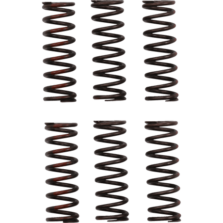 PRO CIRCUIT CLUTCH SPRING CRF450R - Driven Powersports Inc.CSH21450 - CS