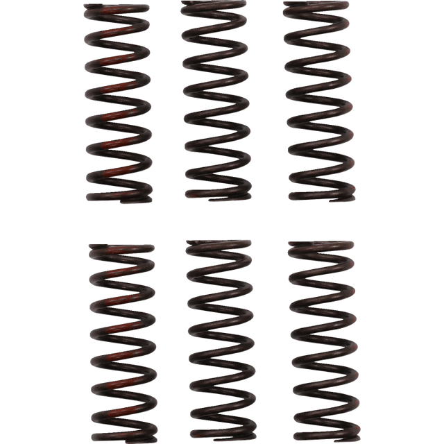 PRO CIRCUIT CLUTCH SPRING CRF450R - Driven Powersports Inc.CSH21450 - CS