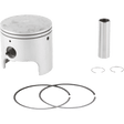 PROX PISTN KT TS/JR/LT50 41MM (01.3001.000) - Driven Powersports Inc.01.3001.000