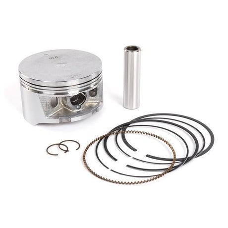 Pro - X HD Piston - DRIVEN Canada's Powersports 01.1498.05001.1498.050