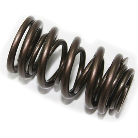 PSYCHIC EXHAUST VALVE SPRING (XU - 09537ES) - DRIVEN Canada's Powersports 758891170073XU - 09537ES