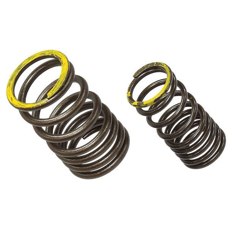 PSYCHIC EXHAUST VALVE SPRING (XU - 09563ES) - DRIVEN Canada's Powersports 758891171247XU - 09563ES