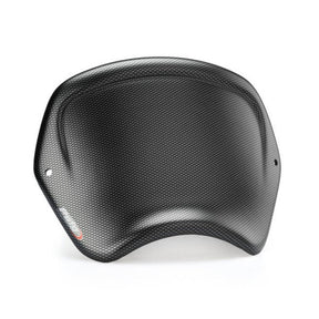 Puig Front Plate (ABS) TRI T100 18 Carbon - DRIVEN Canada's Powersports 8.43656E+129191C