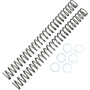 RACE TECH .40 KG/MM FORK SPRINGS 2006 YZ - Driven Powersports Inc.FRSP 444540FRSP 444540