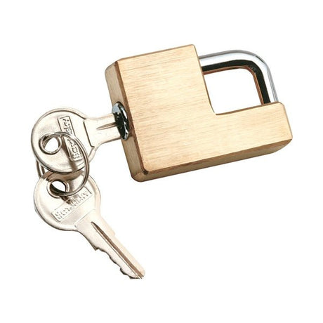 REESETOWPOWER TRAILER HITCH COUPLER LOCK (7005300) - DRIVEN Canada's Powersports 0428997005317005300