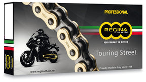 REGINA 137 ZRT CHAIN 110 LINKS (137ZRT/011) - DRIVEN Canada's Powersports 137ZRT/011