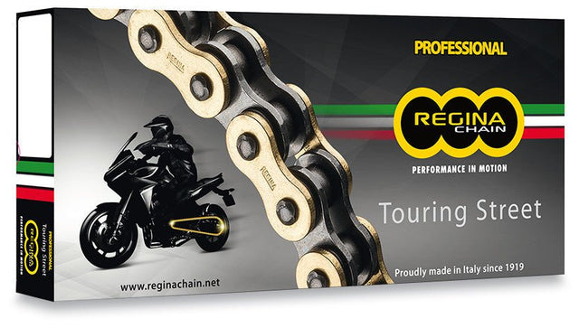 REGINA 137 ZRT CHAIN 110 LINKS (137ZRT/011) - DRIVEN Canada's Powersports 137ZRT/011