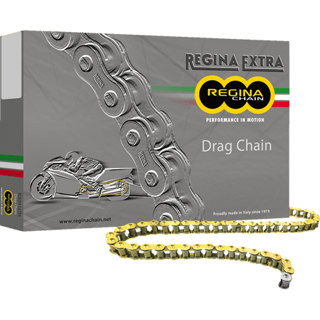 REGINA 520 DR CHAIN 130 LINKS (135DR/1001) - DRIVEN Canada's Powersports 135DR/1001