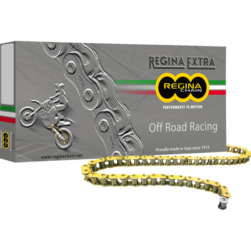REGINA 520 GPXV X 120 LINKS (135GPXV/001) - DRIVEN Canada's Powersports 135GPXV/001