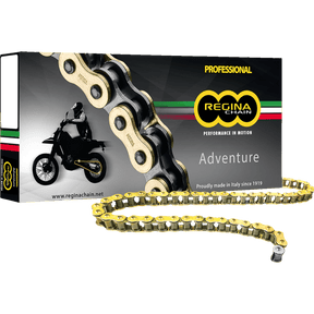 REGINA 520 ZRE X 120 LINKS (135ZRE/1008) - DRIVEN Canada's Powersports 135ZRE/1008