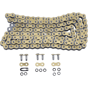 REGINA 520 ZSE X 130 LINKS - Driven Powersports Inc.135ZSE/1005