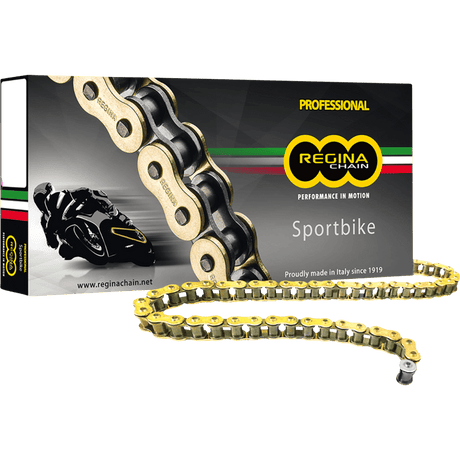 REGINA 525 ZRP CHAIN 110 LINKS - Driven Powersports Inc.137ZRP/00A