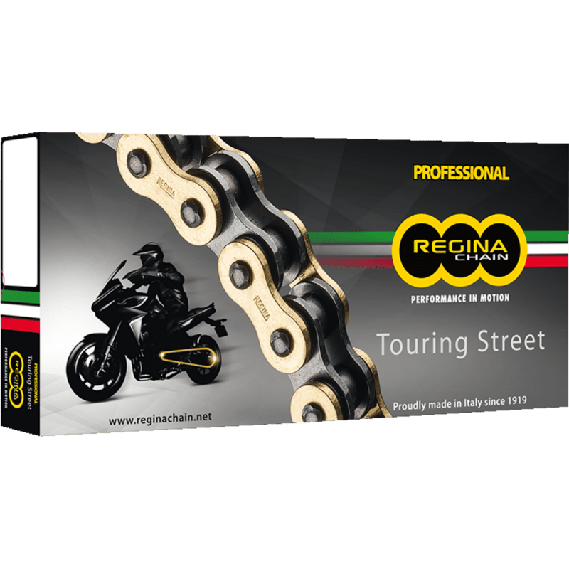 REGINA 530 RT CHAIN 110 LINKS (136RT/1006) - DRIVEN Canada's Powersports 136RT/1006