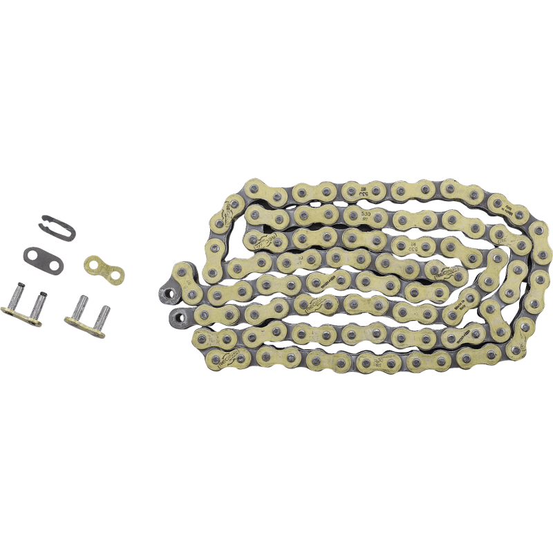 REGINA 530 RT CHAIN 110 LINKS Front - Driven Powersports