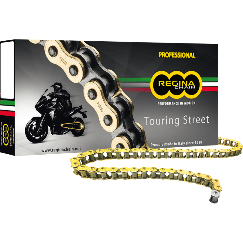 REGINA 530 ZRT CHAIN 110 LINKS - Driven Powersports Inc.136ZRT/007