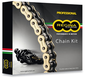 REGINA ATV CHAIN SPROCKET KIT YFS 200 - Driven Powersports Inc.135QD092 - KYA001