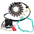 Rick's Motorsport Electric Chargin Kit Lith - DRIVEN Canada's Powersports 14-99-300